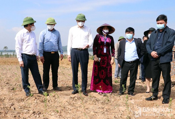 bna_tham_ca_anh_phu_huong8271949_26112021--n1.jpg