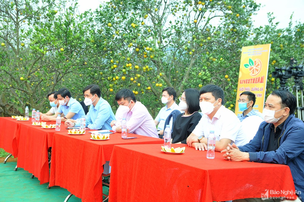 bna_dai_bieu_3097533_28112021.jpg