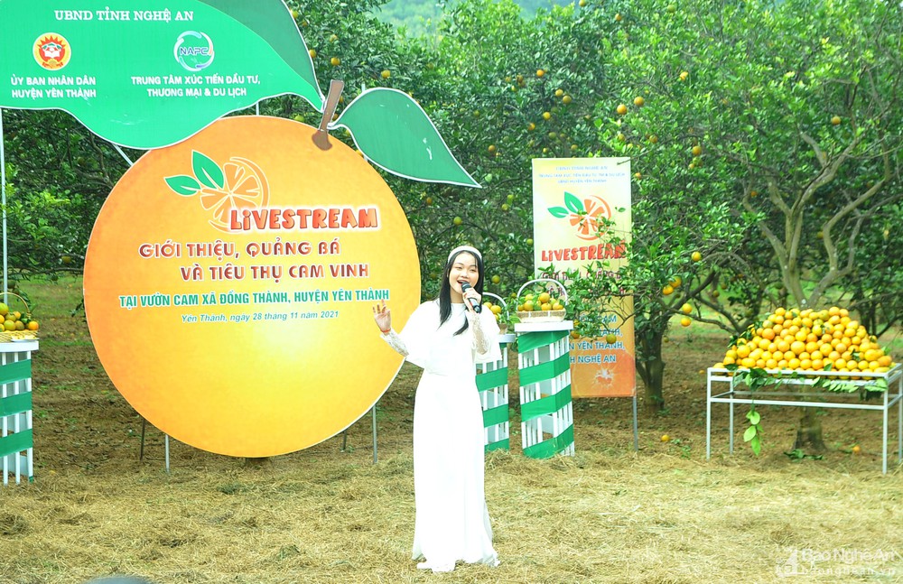 bna_ha_quynh_nhu_quan_quan_giong_hat_viet_nhi_20181077770_28112021.jpg