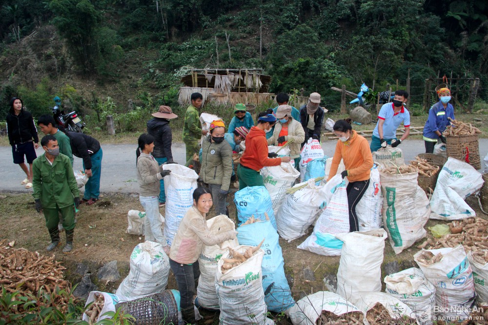 bna_nhon7574777_14122021.jpg
