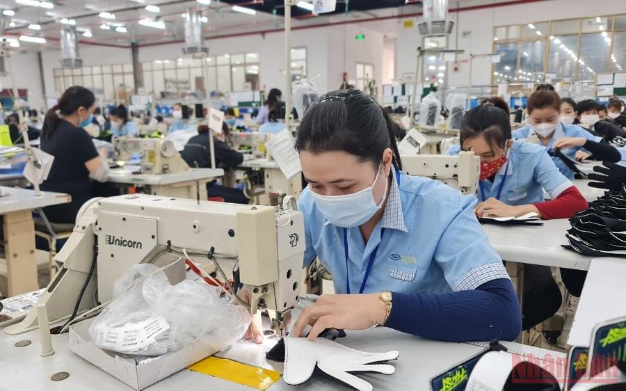 Góp phần nâng cao chất lượng nguồn lao động và giải quyết việc làm cho lao động nông thôn