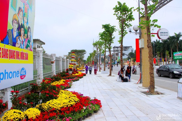 saf8466439_1312022--n1.jpg