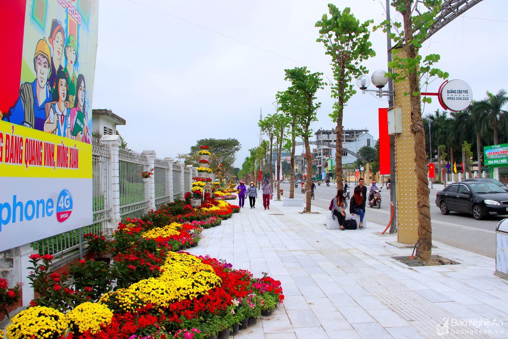 Thành phố Vinh xây dựng nhiều tuyến đường hoa đón Xuân Nhâm Dần 2022