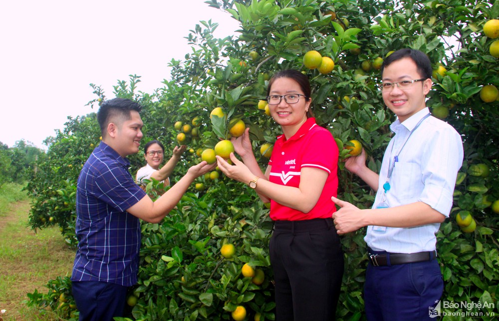 bna_khach_hang_thich_thu_voi_nhung_cay_cam_triu_qua_anh_xuan_hoang9288633_312022.jpg