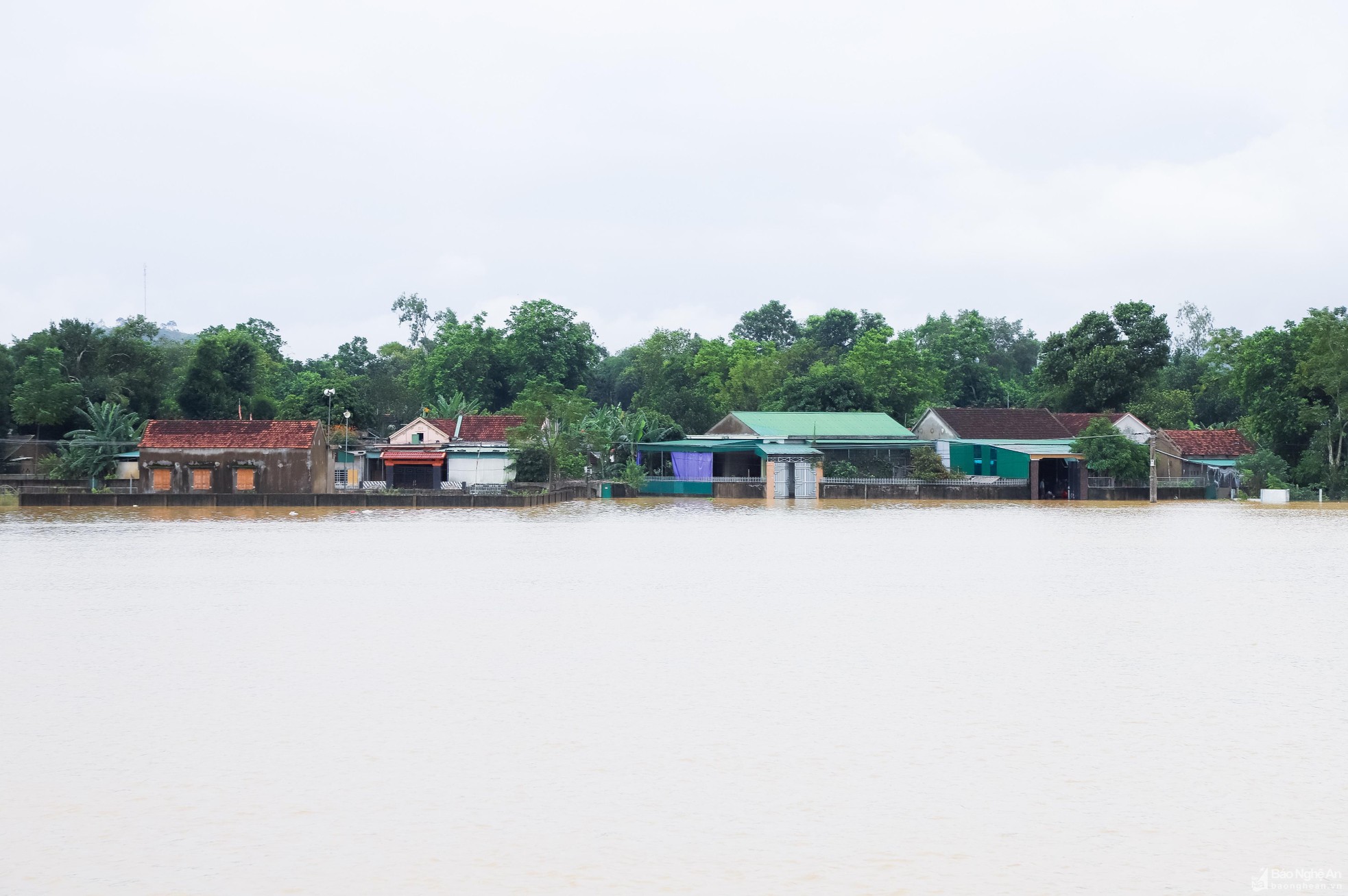 bna-hang-tram-ho-dan-o-xom-2-xa-hung-linh-ngap-sau-trong-nuoc-4634.jpg