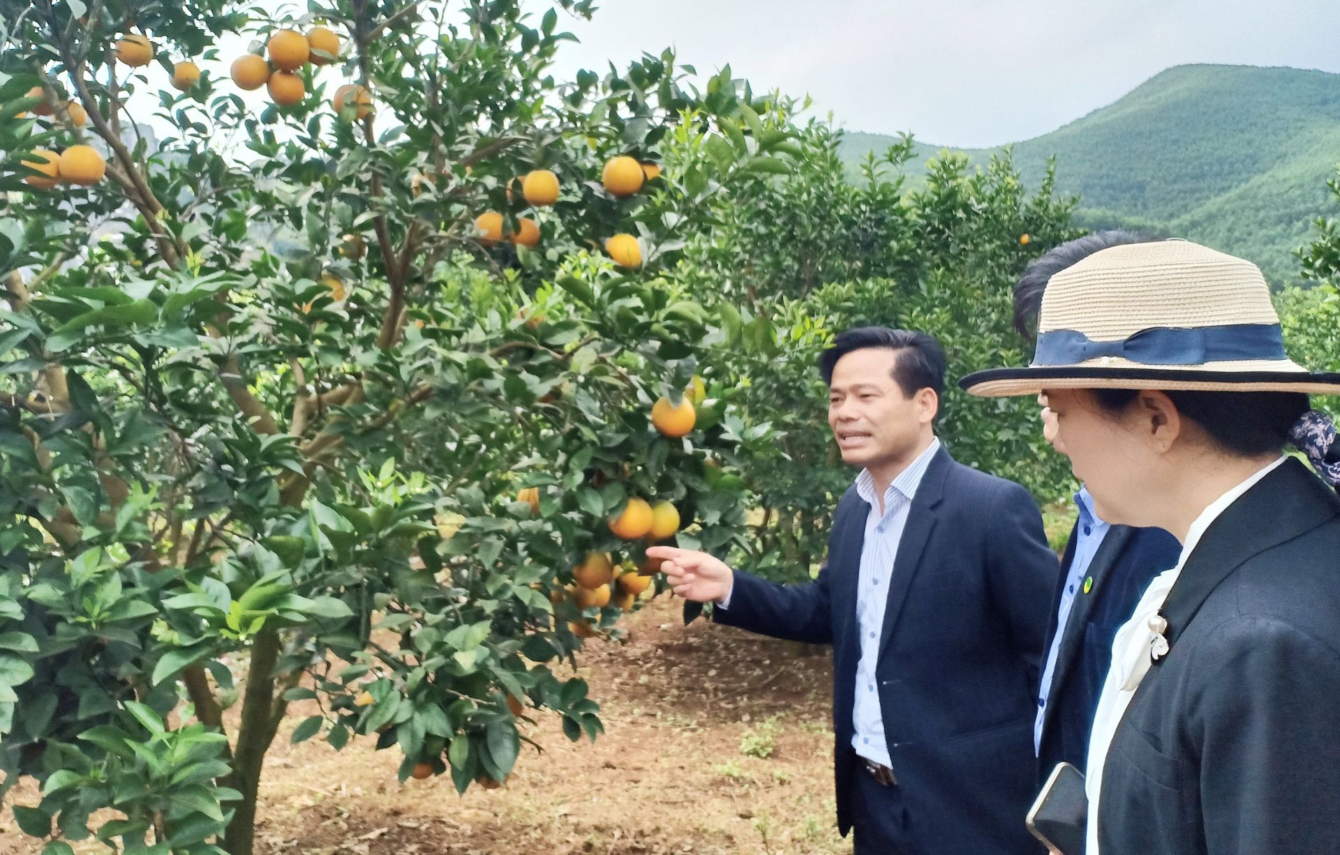 Tập trung, quyết liệt, đổi mới, sáng tạo trong chỉ đạo, đảm bảo hoàn thành chỉ tiêu xây dựng nông thôn mới theo lộ trình