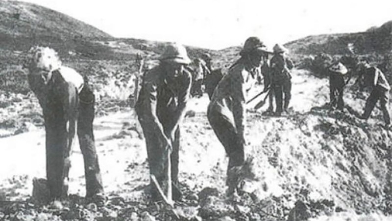 tbon-4548--n1.jpg