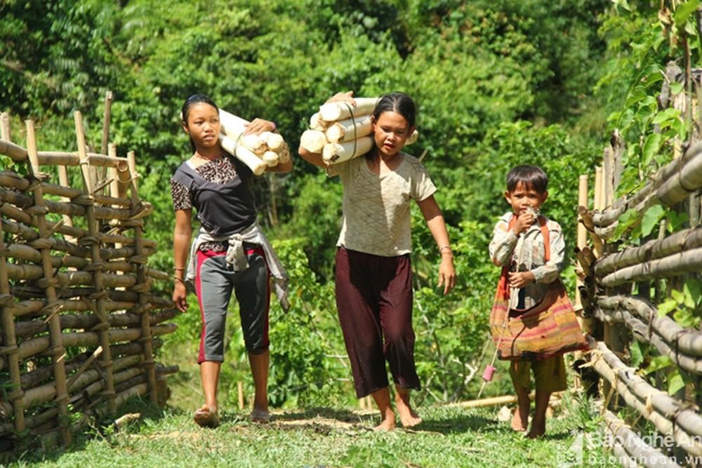 images1944724-anhdanlai10-5646--n1.jpg