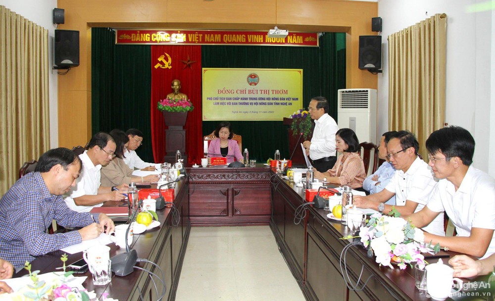 bna-lam-viec-anh-thanh-le-1726.jpg