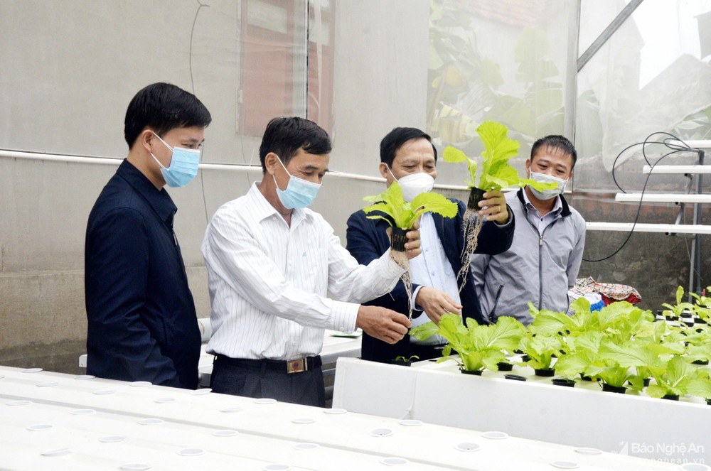 bna-nong-nghiep-huu-co-anh-thanh-le-7192--n1.jpg