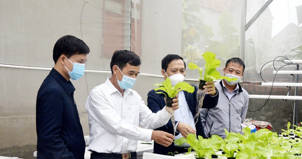 Chú trọng chuyển đổi tư duy sản xuất cho nông dân Nghệ An