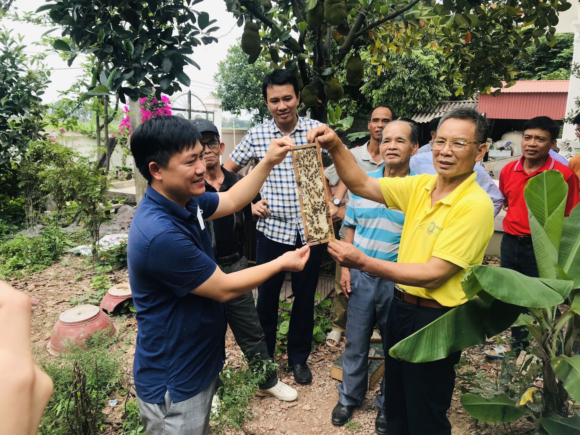 Khai thác lợi thế, phát triển nghề nuôi ong lấy mật vùng miền Tây Nghệ An