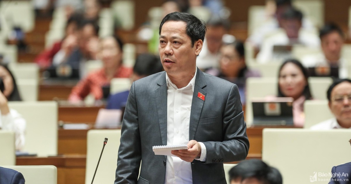 Đại biểu Quốc hội Đoàn Nghệ An chất vấn Tổng thanh tra Chính phủ về hiệu lực, hiệu quả của hoạt động thanh tra đột xuất