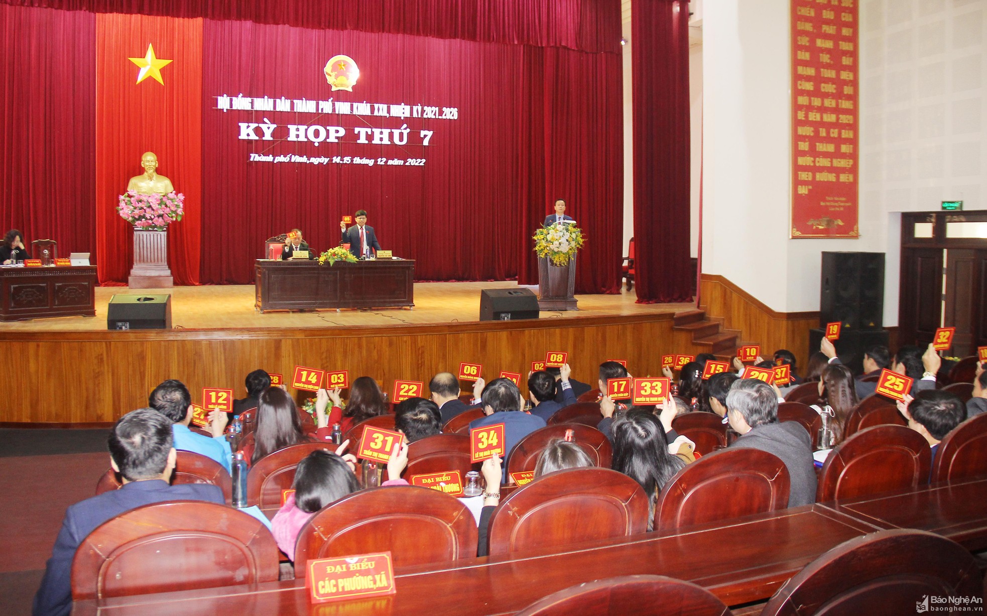 bna-mai-hoa-22-3263.jpg