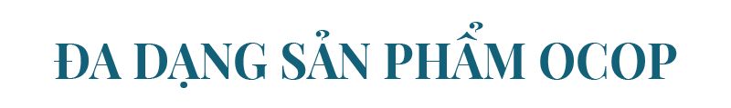 ocop-nam-an_titphu1.jpg