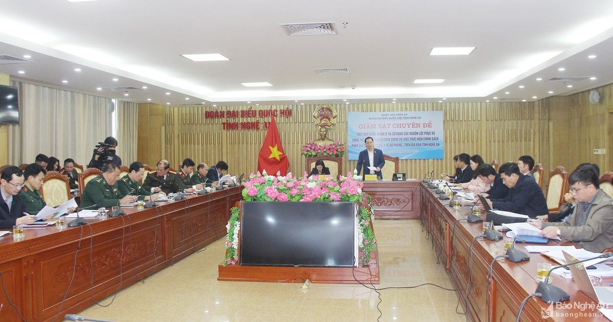 Đoàn đại biểu Quốc hội tỉnh làm việc với các sở, ngành cấp tỉnh về huy động, quản lý, sử dụng nguồn lực phòng, chống Covid-19