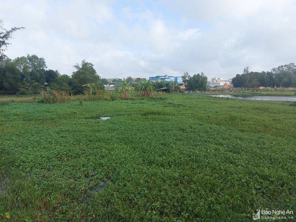 bna-golden-2-nhat-lan-3067.jpg