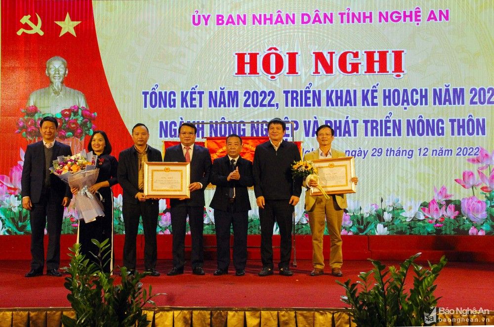 Nghệ An: Tốc độ tăng trưởng ngành Nông nghiệp đạt cao nhất vùng Bắc Trung Bộ
