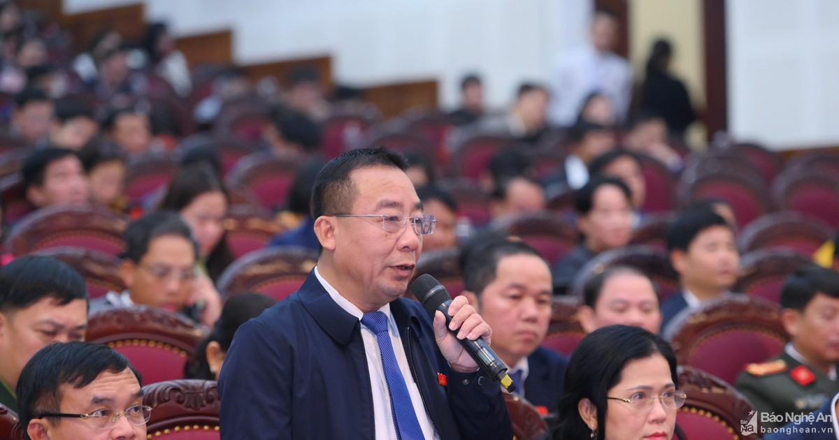 Đề nghị Thường trực HĐND tỉnh cho phép xây dựng Nghị quyết hỗ trợ kinh phí quản lý bảo vệ rừng