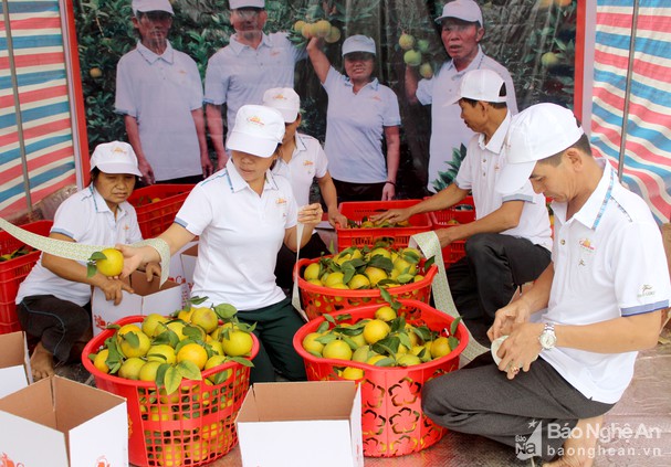bna_chinh_dan_tem_truy_xuat_nguon_goc_cam_vinh_anh_quang_an4523821_1222022.jpg