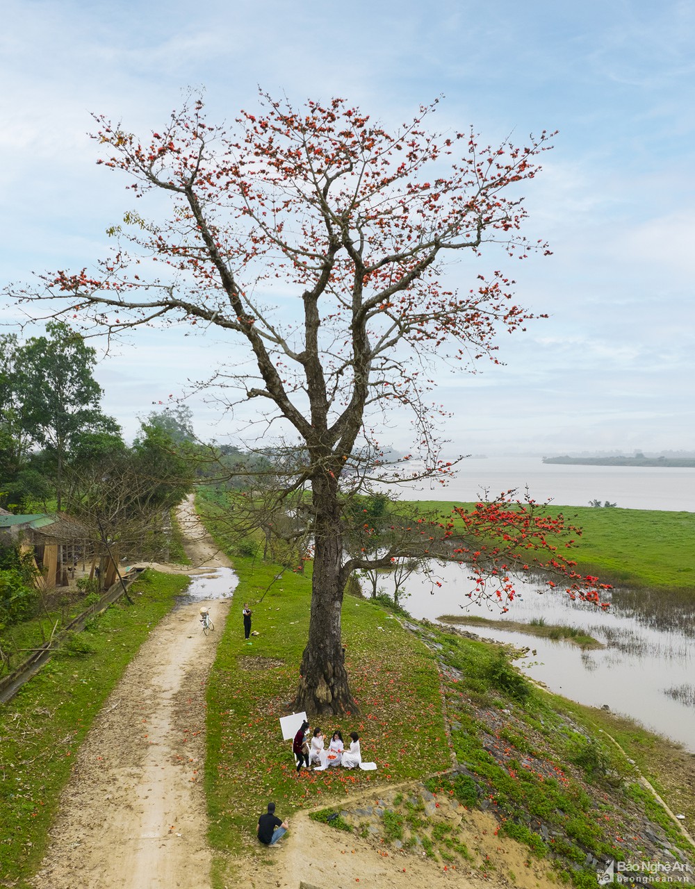 bna_hoa_gao_thap_lua_thang_ba_anh_dinh_chien1352652_1032022.jpg