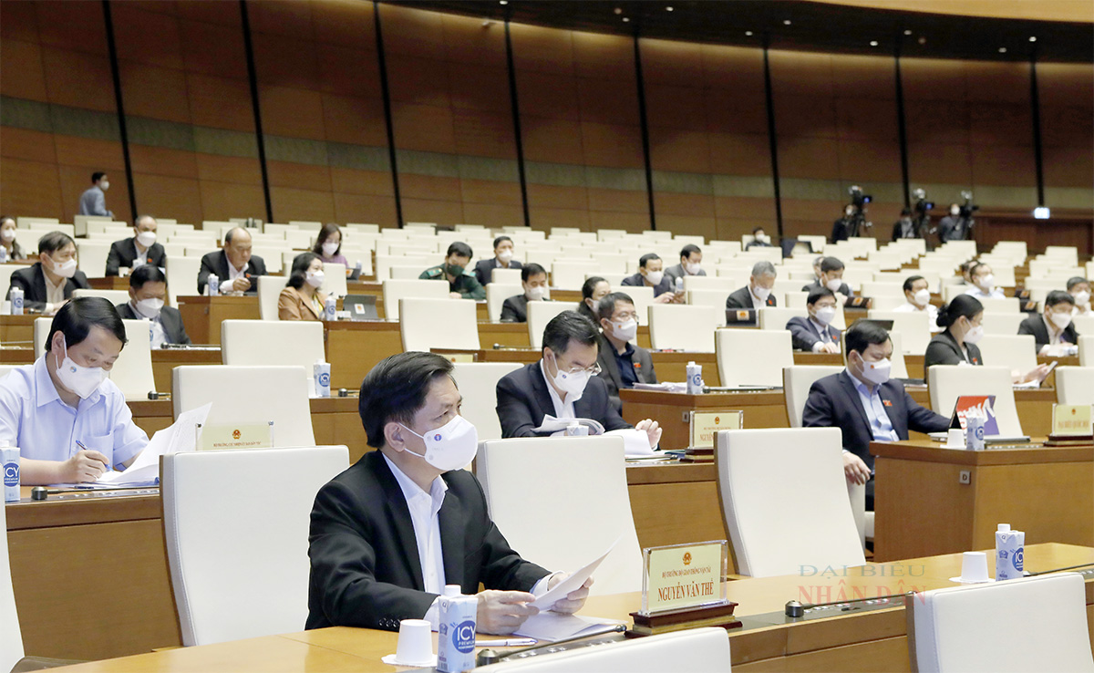 20220316131711dai-bieui-a2.jpg