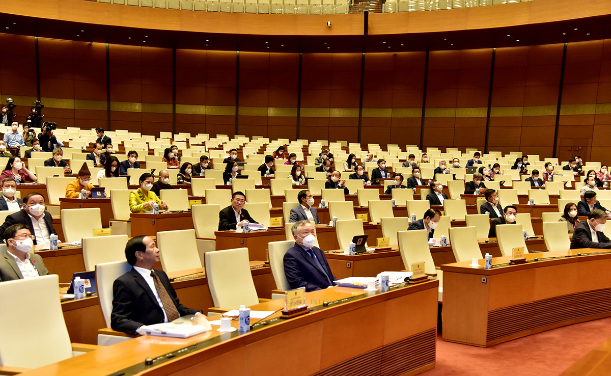 20220316184405dai-bieu-chieu.jpg
