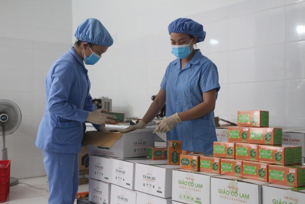 Nghệ An tiếp tục hỗ trợ gần 26 tỷ đồng cho hơn 16.000 lao động gặp khó khăn do đại dịch