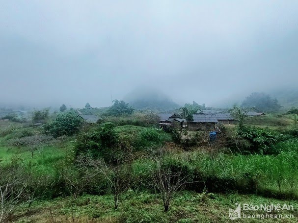 Phát huy tiềm năng thế mạnh của địa phương để phát triển vùng kinh tế trọng điểm miền Tây tại Nghệ An