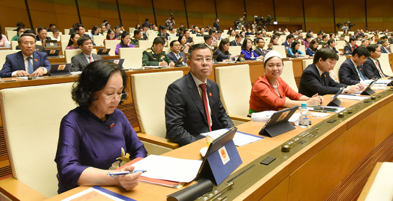 doan-hoa-binh02-1653283117249.jpg
