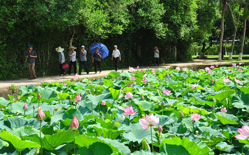 Về quê Bác – Làng Sen