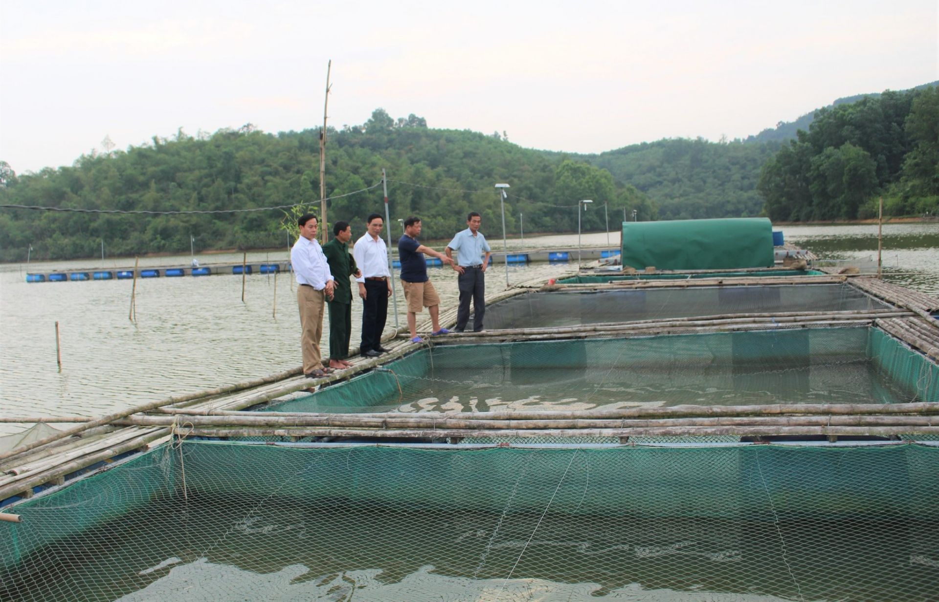 Nông dân Anh Sơn phát huy lợi thế nuôi cá lồng trên sông