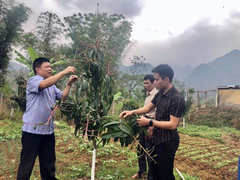 Hòa Bình: Xây dựng nền nông nghiệp chất lượng cao