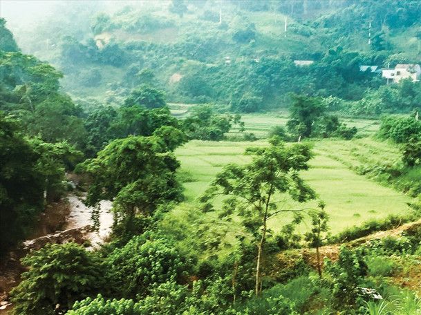 Văn phòng Đoàn ĐBQH và HĐND tỉnh nhận giúp đỡ xã Na Loi – xã đặc biệt khó khăn của huyện Kỳ Sơn