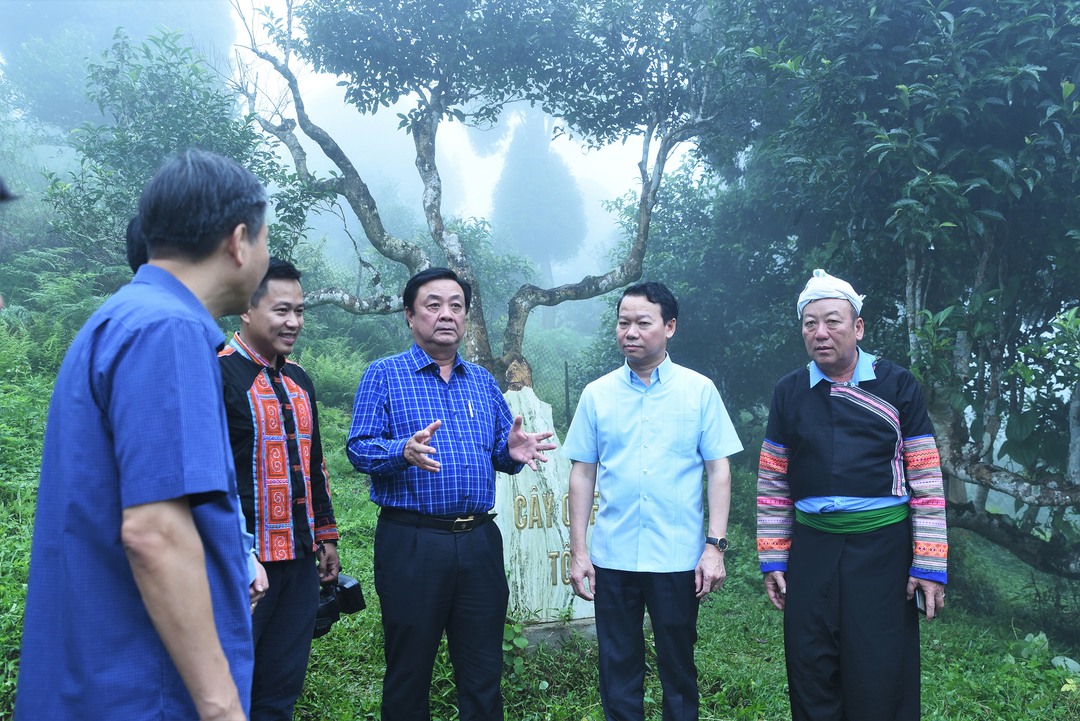 bo-truong-le-minh-hoan-o-tay-bac-9-160409_734.jpg