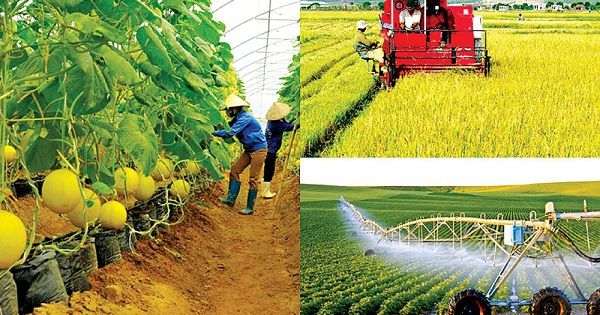 Lời nguyền – Đôi điều suy nghĩ
