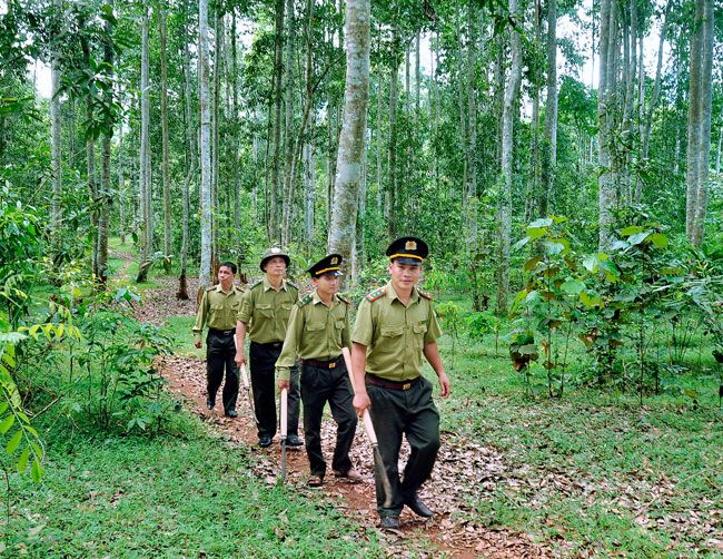Bộ Nông nghiệp và Phát triển nông thôn trả lời kiến nghị cử tri về chính sách ưu tiên cho lực lượng chuyên trách bảo vệ rừng