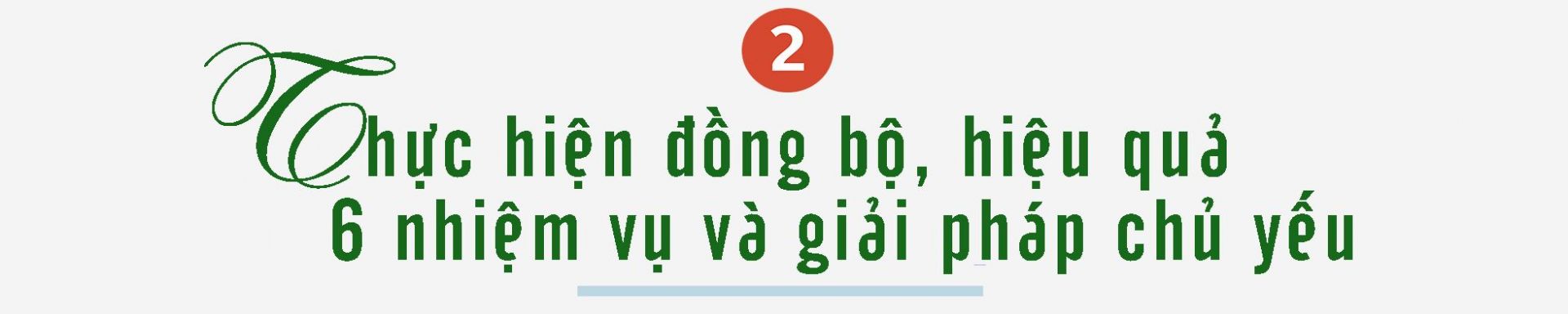 tit2.jpg