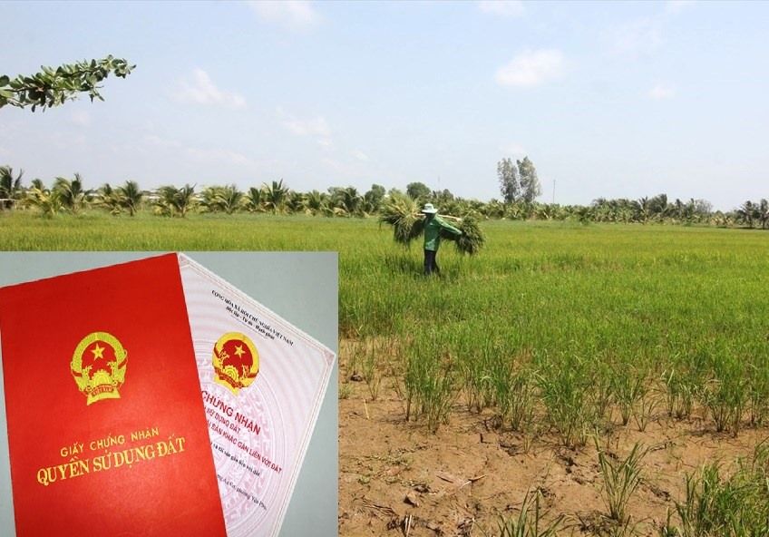 Trả lời cử tri Lê Viết Hoàng, xóm Trường Phú, xã Nghi Trường, huyện Nghi Lộc kiến nghị trả lại thửa đất của gia đình đã đưa vào làm sân bóng