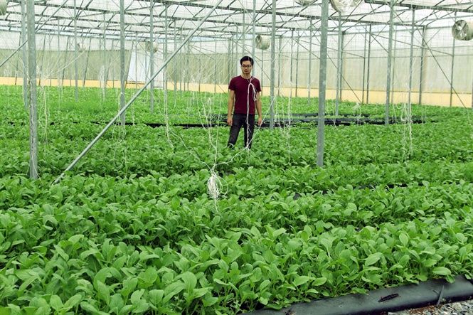 Xúc tiến đầu tư để phát triển nông nghiệp bền vững