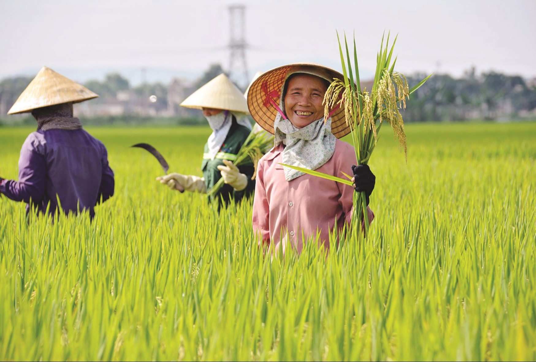 NGƯỜI XỨ NGHỆ