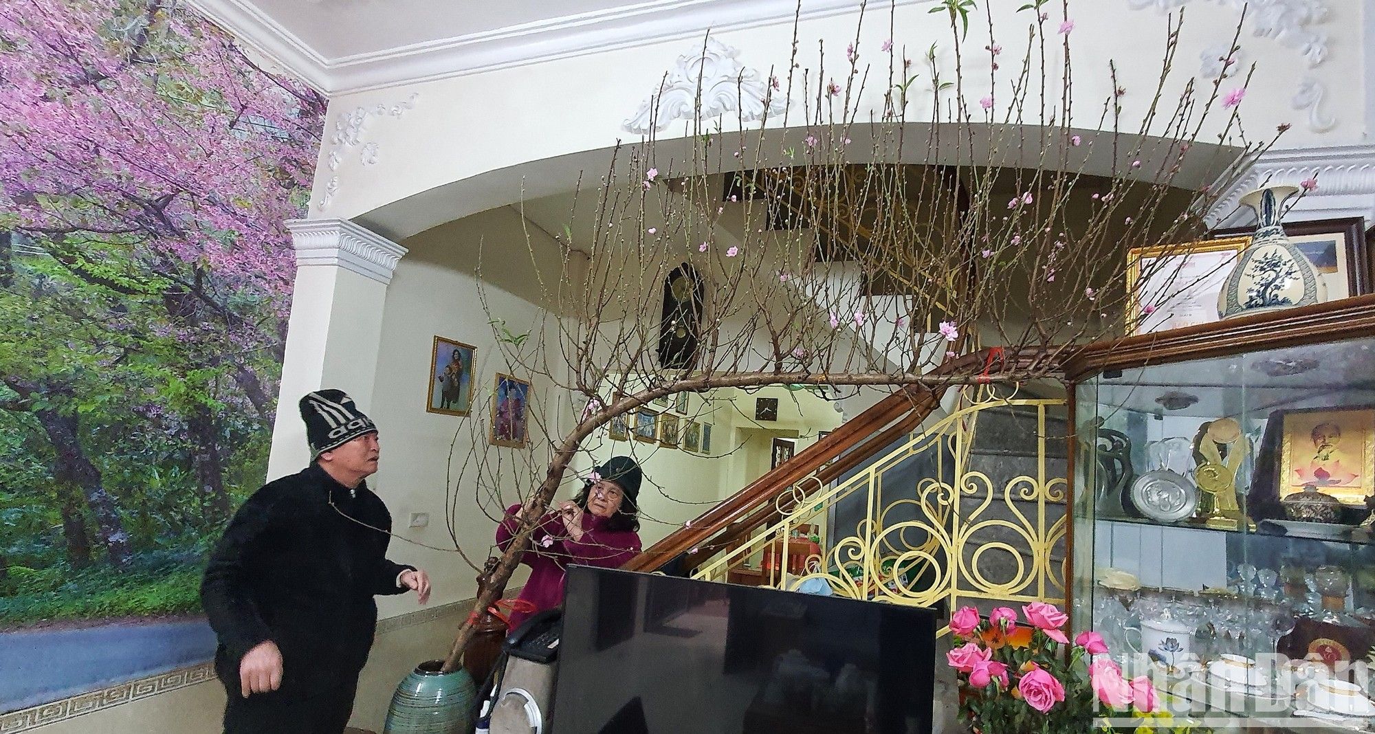 ndo_br_tet-dao-8503.jpg