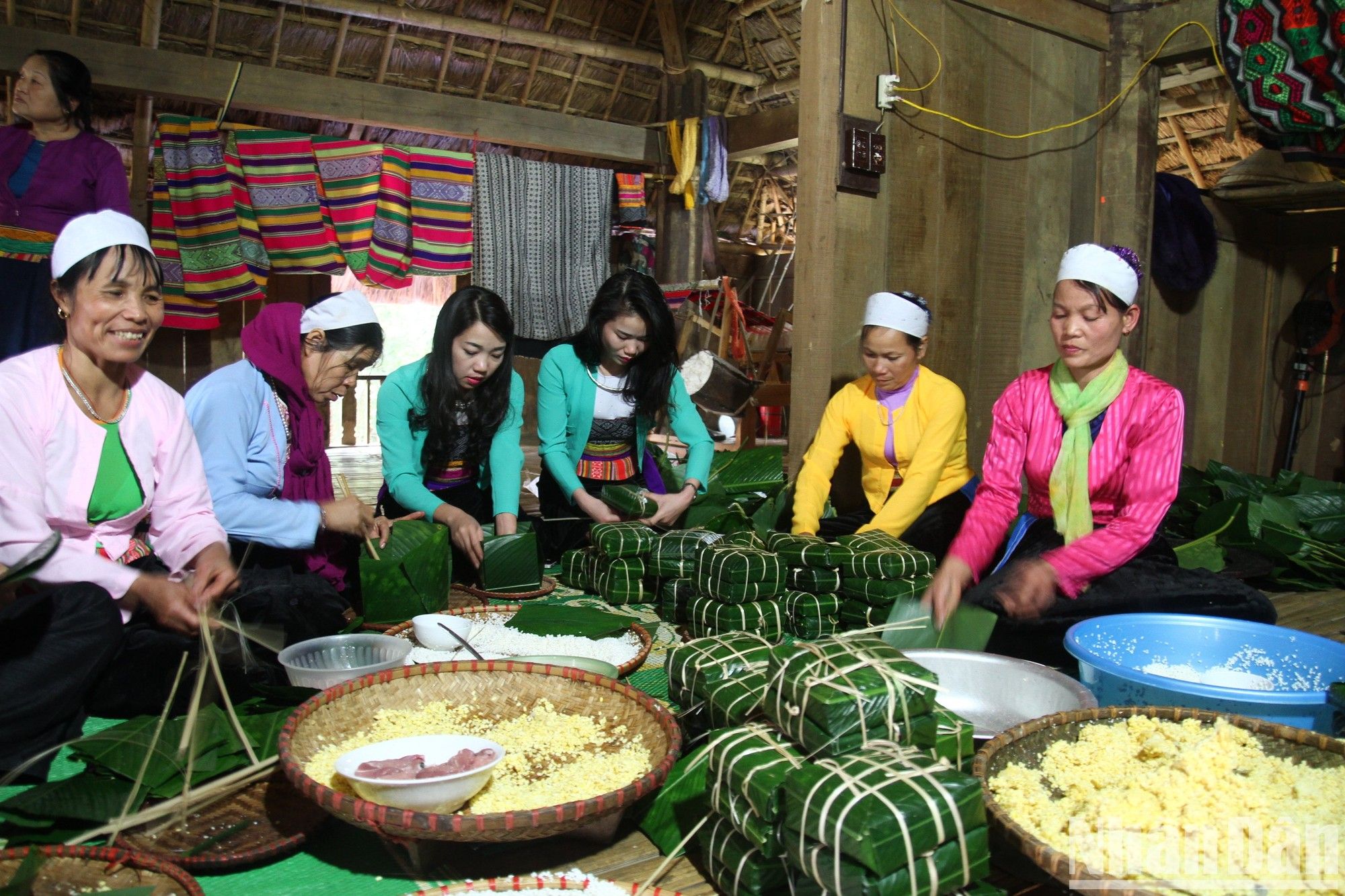 ndo_br_tet-goibc-5395.jpg
