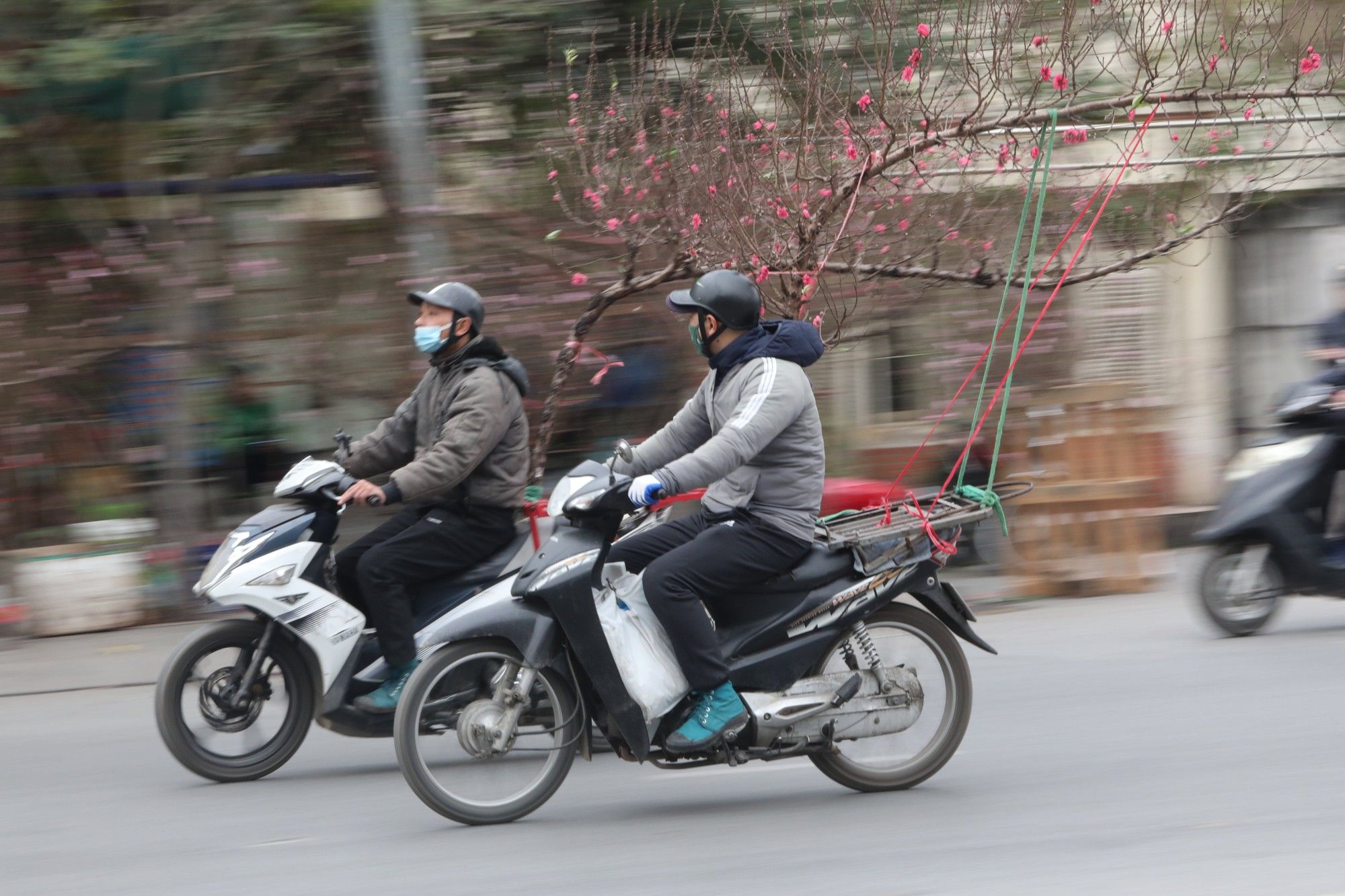 tet-hoadao3-7761.jpg