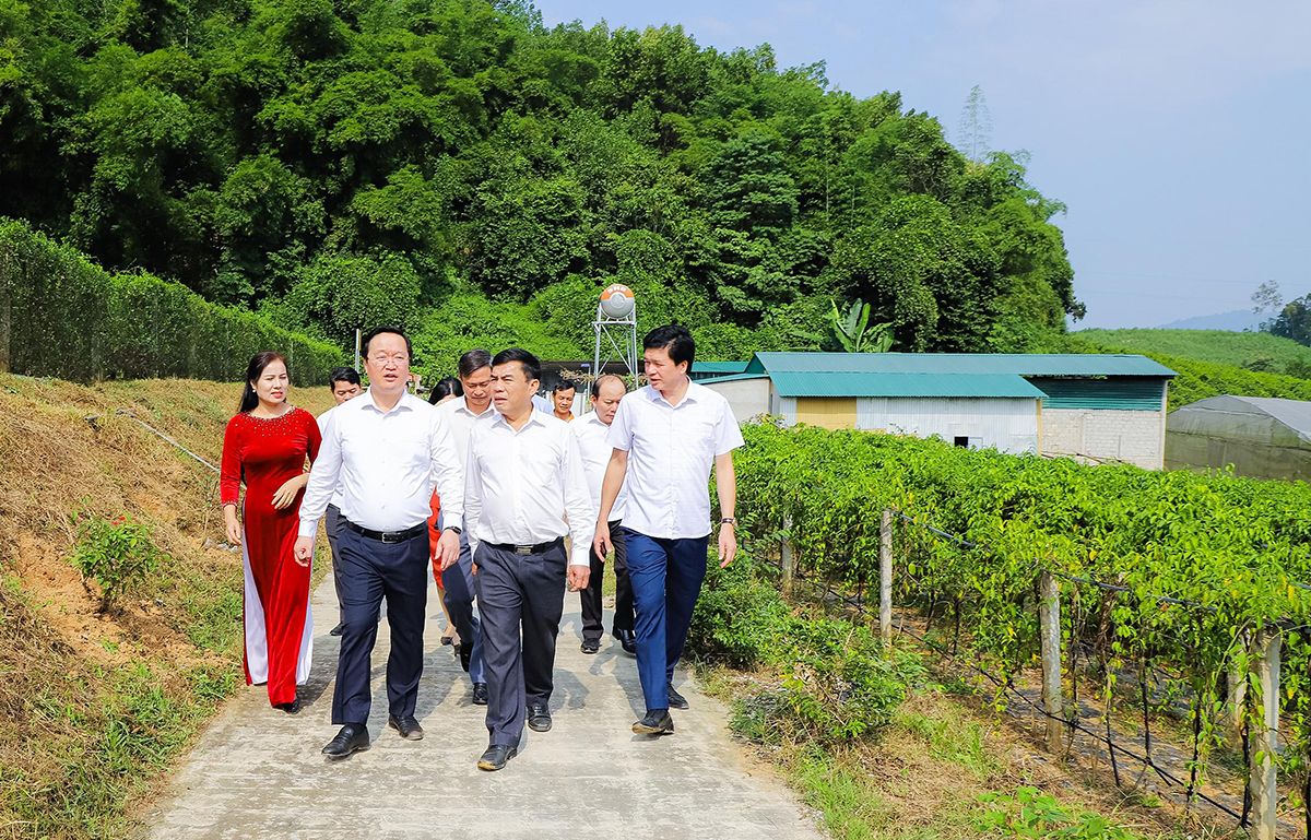 pho-bi-thu-tinh-uy-chu-tich-ubnd-tinh-nguyen-duc-trung-tham-quan-mo-hinh-san-xuat-cua-cong-ty-cp-duoc-lieu-pu-mat.jpg
