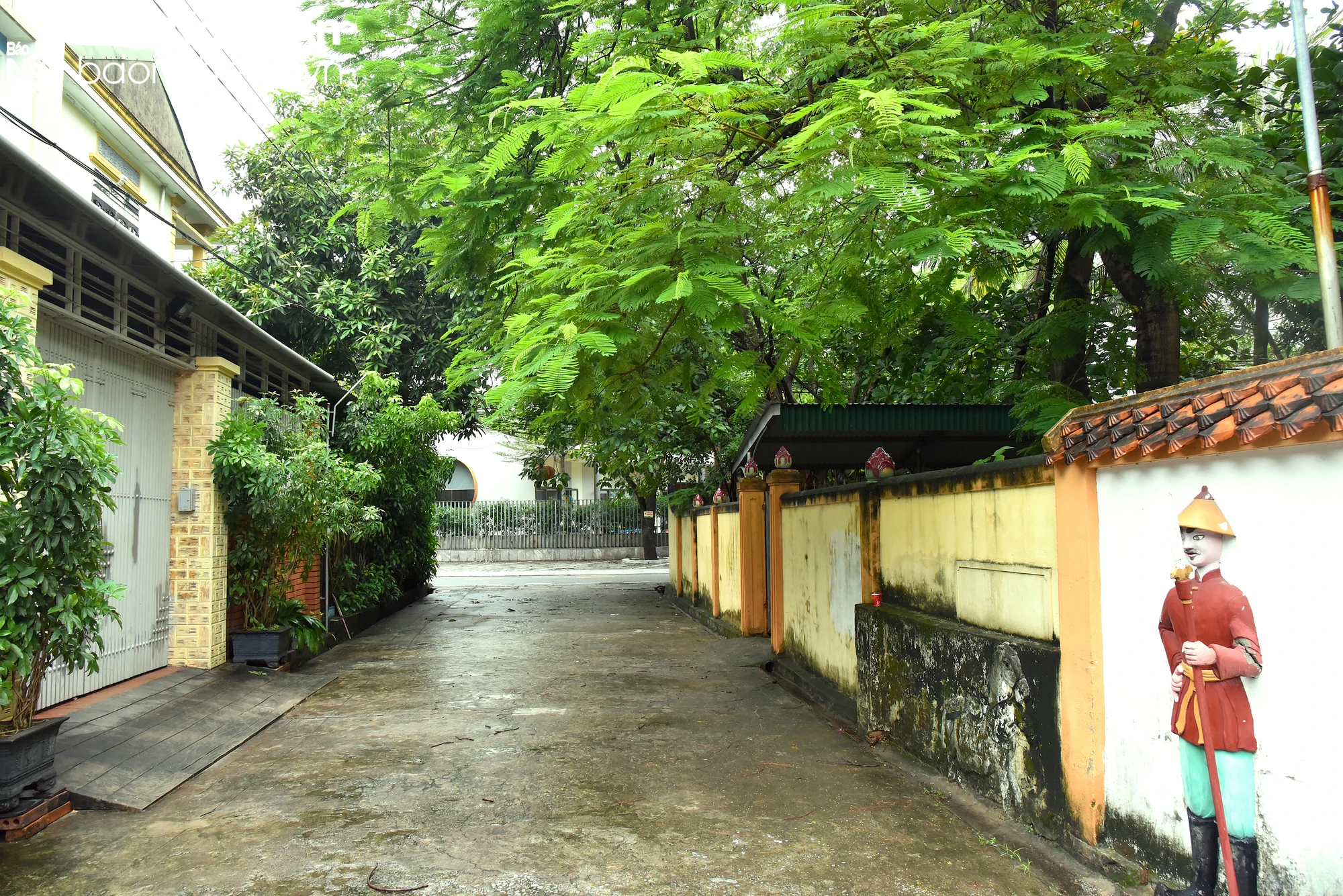 bna-den-ha-ma-ht-xung-quanh-rop-bong-cay-xanh-1089.jpg.webp