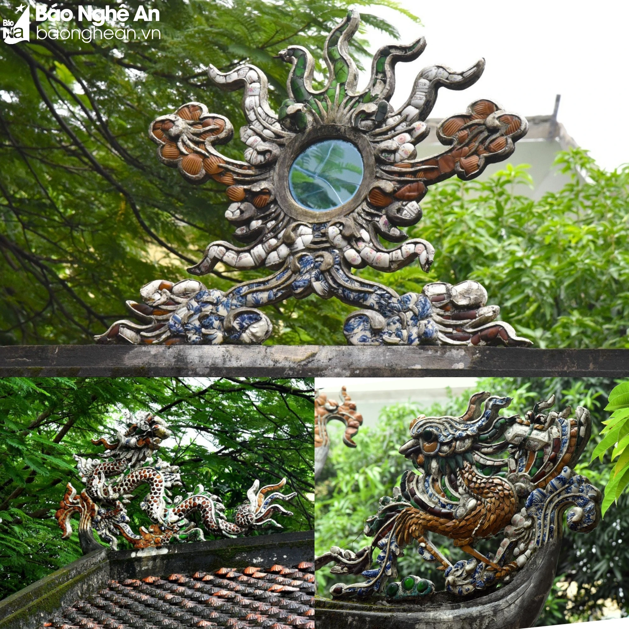 bna-hoa-van-den-ha-ma-1242.jpg.webp