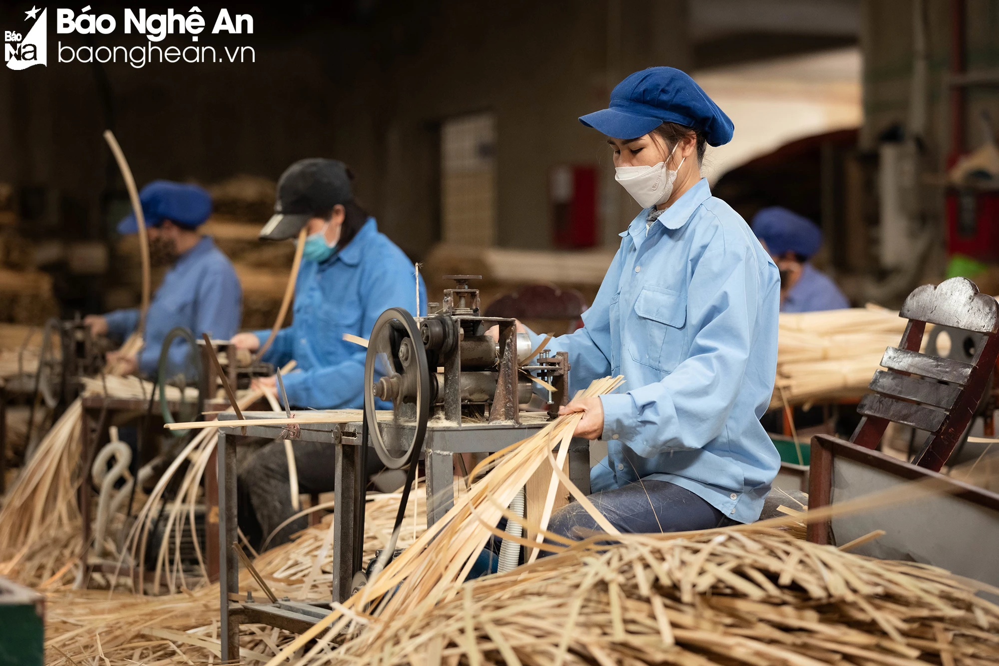 bna-san-xuat-den-long-may-tre-dan-6541.jpg.webp