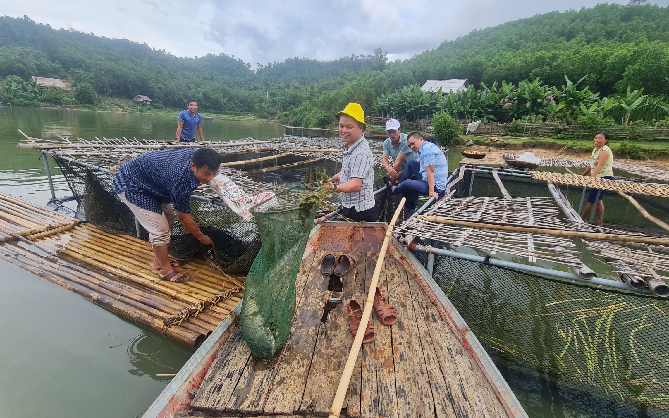 Mở sinh kế từ nuôi cá lồng đặc sản trên sông, hồ
