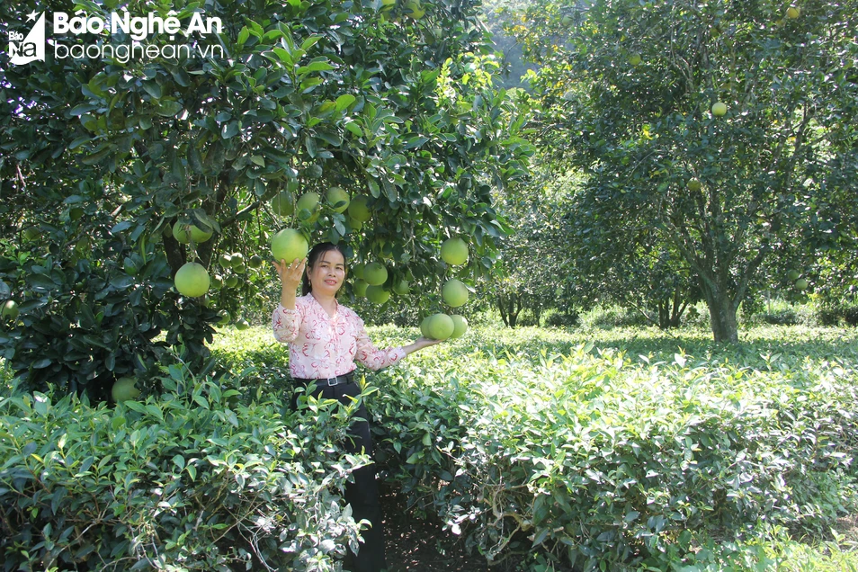 bna_tl_anh-1dan-van-kheo-con-cuong-9620.jpg.webp